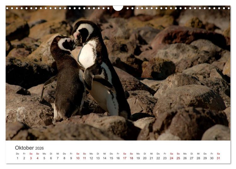 Produktbild: Argentinien - vielseitig und kontrastreich (Wandkalender 2026 DIN A3 quer), CALVENDO Monatskalender