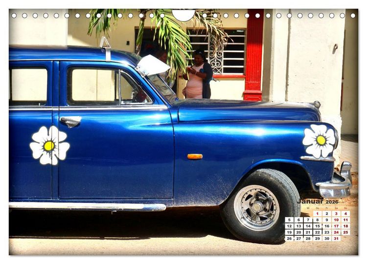 Produktbild: Bunte V&ouml;gel - Originelle Oldtimer in Havanna (Wandkalender 2026 DIN A4 quer), CALVENDO Monatskalender