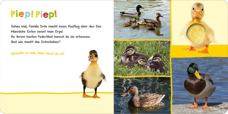 Produktbild: H&ouml;r mal rein, wer kann das sein? &ndash; In der Natur