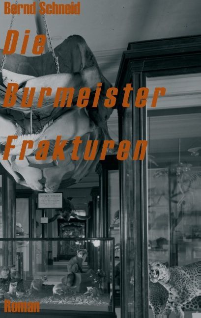 Produktbild: Die Burmeister Frakturen