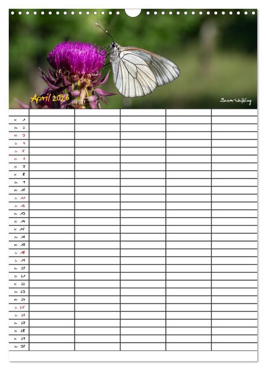 Produktbild: Schmetterlinge in Bayern (Wandkalender 2026 DIN A3 hoch), CALVENDO Monatskalender
