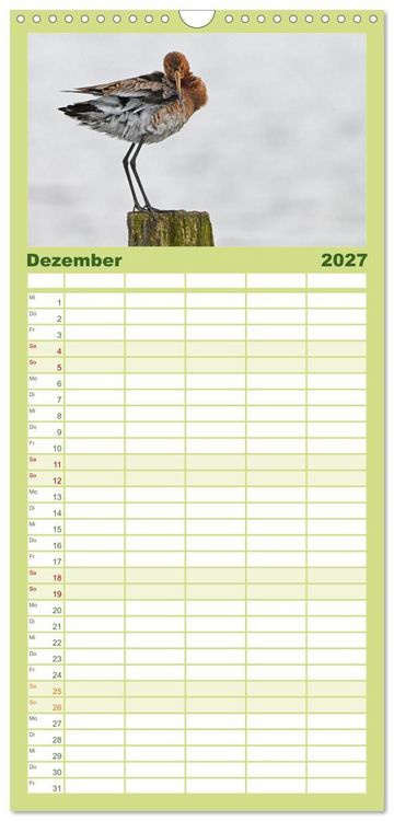 Produktbild: Familienplaner 2027 - Die bedrohten Uferschnepfen mit 5 Spalten (Wandkalender, 21 x 45 cm) CALVENDO