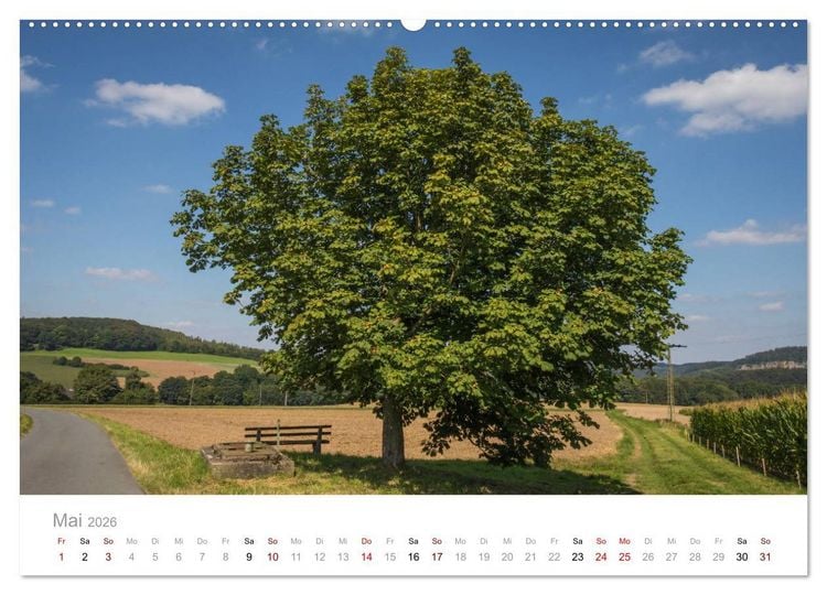 Produktbild: Wundersch&ouml;ne B&auml;ume im Sauerland (hochwertiger Premium Wandkalender 2026 DIN A2 quer), Kunstdruck in Hochglanz