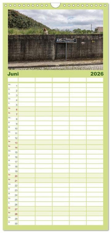 Produktbild: Familienplaner 2026 - Camino 2026 mit 5 Spalten (Wandkalender, 21 x 45 cm) CALVENDO