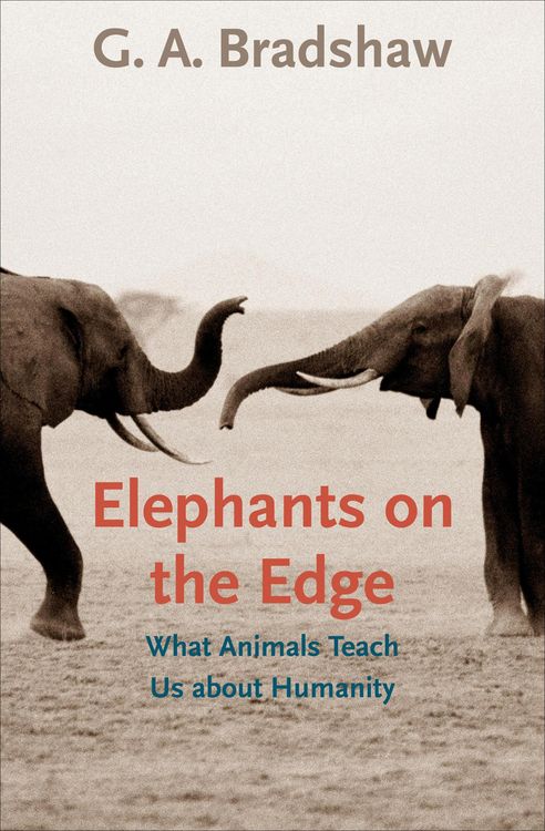 Produktbild: Elephants on the Edge