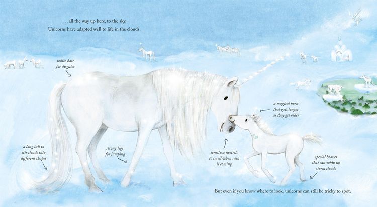 Produktbild: Believer's Guide to Unicorns