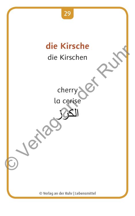 Produktbild: Lebensmittel - Deutsch, Englisch, Franz&ouml;sisch und Arabisch