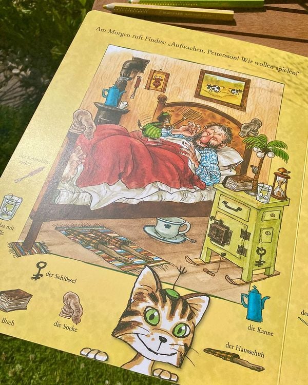 Produktbild: Das gro&szlig;e Pettersson und Findus Wimmelbuch