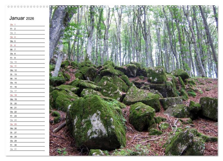 Produktbild: Camino di Assisi - Franziskusweg (Wandkalender 2026 DIN A2 quer), CALVENDO Monatskalender