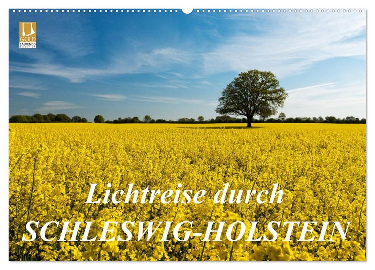 Produktbild: Lichtreise durch Schleswig-Holstein (Wandkalender 2026 DIN A2 quer), CALVENDO Monatskalender
