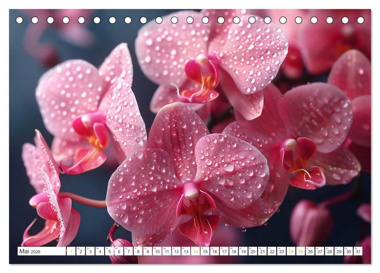 Produktbild: Orchideen - farbenfroh durchs Jahr (Tischkalender 2026 DIN A5 quer), CALVENDO Monatskalender