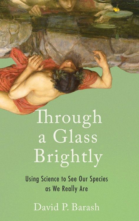 Produktbild: Through a Glass Brightly
