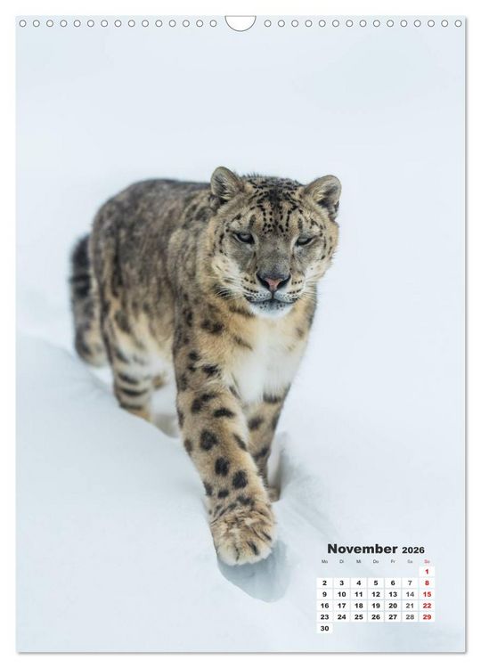 Produktbild: Emotionale Momente: Raubkatzen - die schnellen J&auml;ger. (Wandkalender 2026 DIN A3 hoch), CALVENDO Monatskalender
