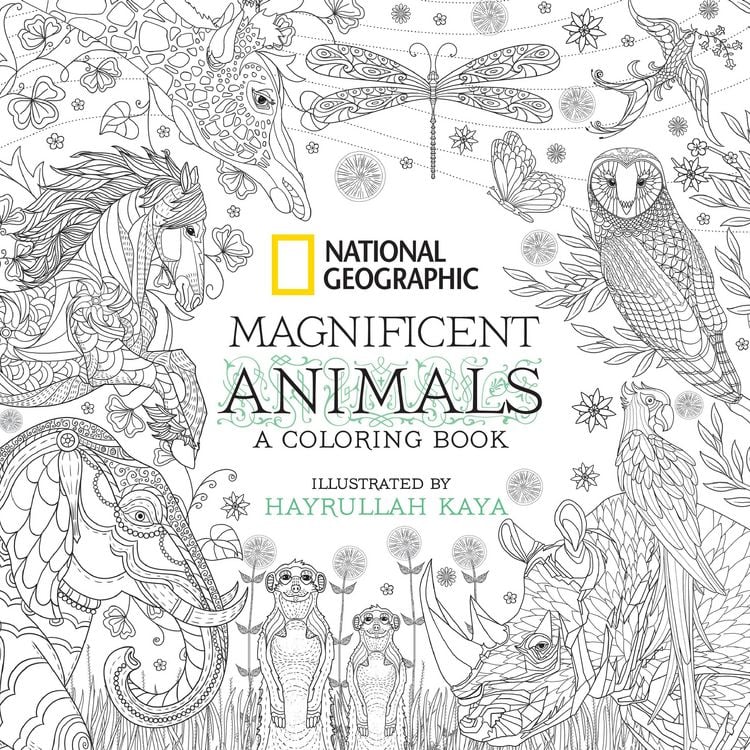 Produktbild: National Geographic Magnificent Animals
