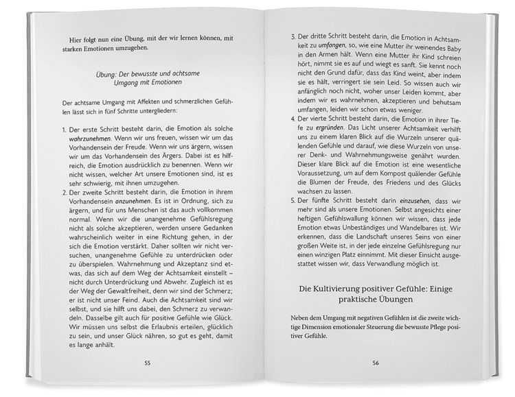 Produktbild: Der Gl&uuml;cksstandard