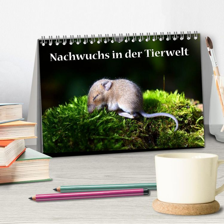 Produktbild: Nachwuchs in der Tierwelt (Tischkalender 2026 DIN A5 quer), CALVENDO Monatskalender