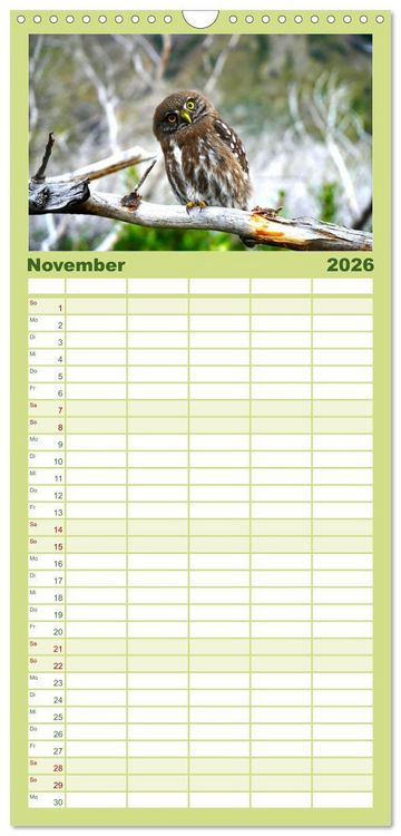 Produktbild: Familienplaner 2026 - Eulen - Wachsame und geheimnisvolle Augen mit 5 Spalten (Wandkalender, 21 x 45 cm) CALVENDO