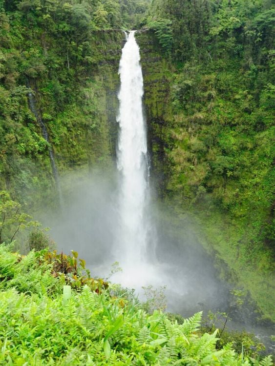 Produktbild: CALVENDO Puzzle Akaka Falls, Kauai | 1000 Teile Lege-Gr&ouml;&szlig;e 64x48cm Foto-Puzzle f&uuml;r gl&uuml;ckliche Stunden