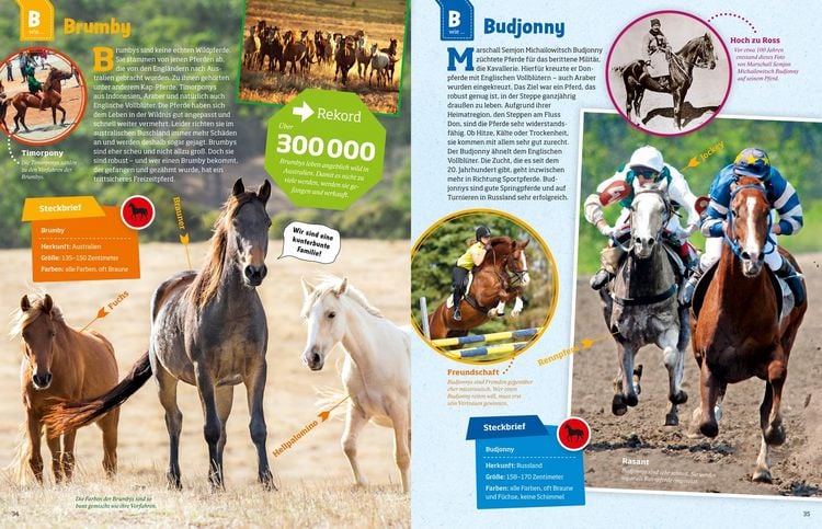 Produktbild: WAS IST WAS Pferde und Ponys