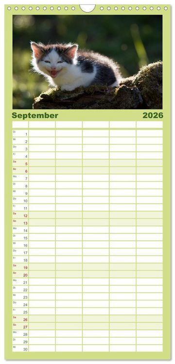 Produktbild: Familienplaner 2026 - L&auml;chelnd durchs Jahr - Katzenkinder -Familienplaner hoch mit 5 Spalten (Wandkalender, 21 x 45 cm) CALVENDO