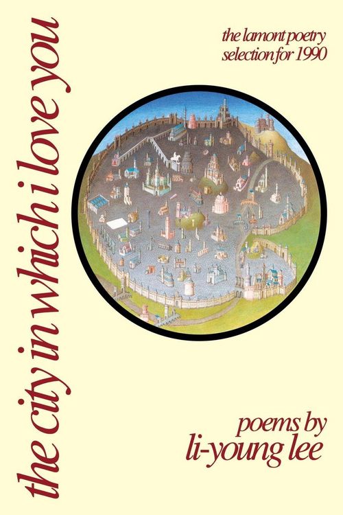 Produktbild: The City in Which I Love You