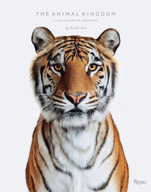 Produktbild: Animal Kingdom