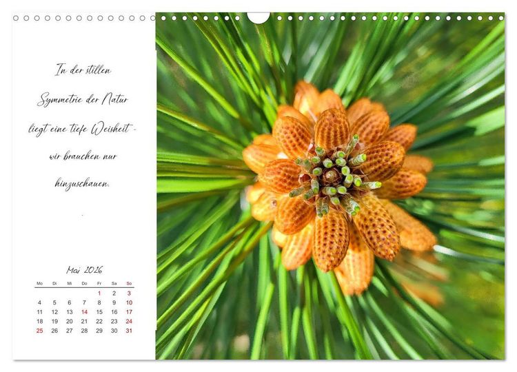Produktbild: Der Atem der Stille - Achtsame Augenblicke in der Natur (Wandkalender 2026 DIN A3 quer), CALVENDO Monatskalender