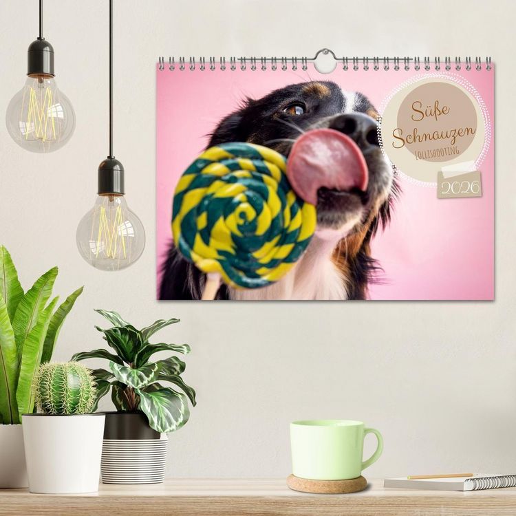 Produktbild: S&uuml;&szlig;e Schnauzen (Wandkalender 2026 DIN A4 quer), CALVENDO Monatskalender