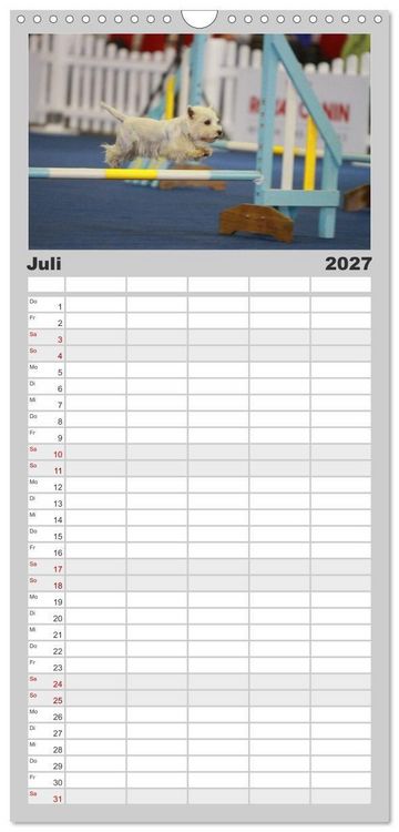 Produktbild: Familienplaner 2027 - West Highland White Terrier - Selbstbewustes Powerpaket - der Westie mit 5 Spalten (Wandkalender, 21 x 45 cm) CALVENDO