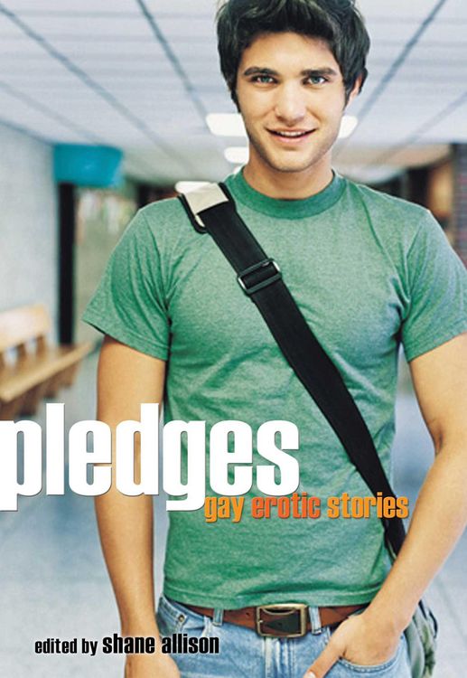 Produktbild: Pledges