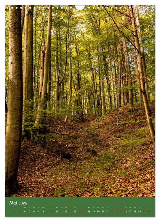 Produktbild: Ich bin dann mal im Wald (Wandkalender 2026 DIN A3 hoch), CALVENDO Monatskalender