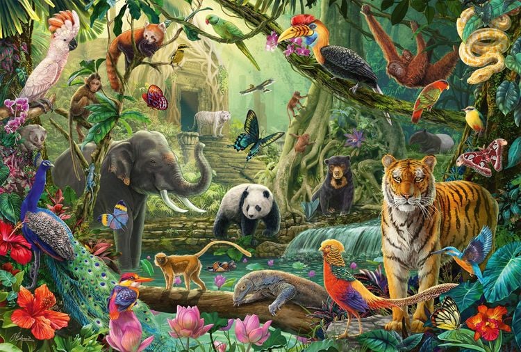 Produktbild: Bunte Tierwelt im Dschungel