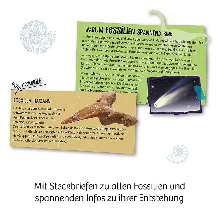 Produktbild: Fossilien