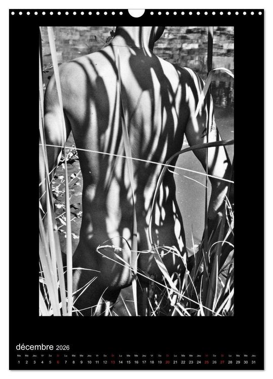 Produktbild: Au Masculin (Calendrier mural 2026 DIN A3 horizontal), CALVENDO calendrier mensuel