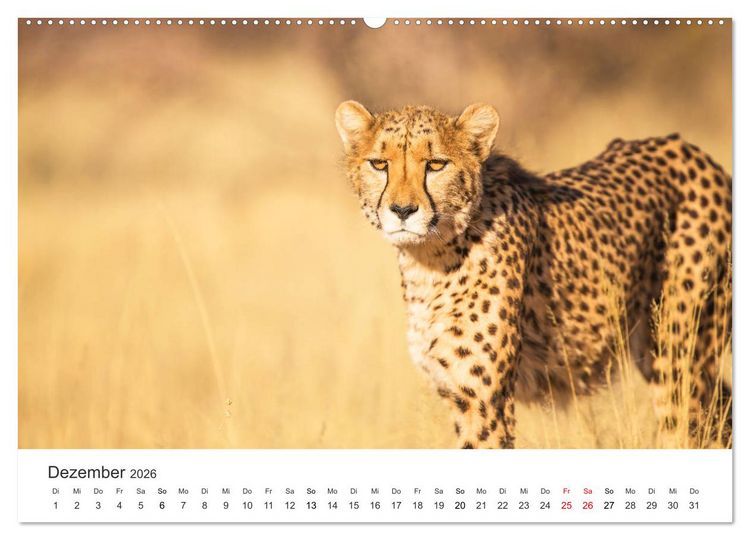 Produktbild: Safari durch Afrika (hochwertiger Premium Wandkalender 2026 DIN A2 quer), Kunstdruck in Hochglanz
