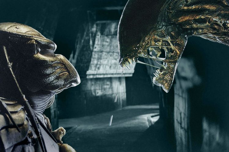 Produktbild: Alien vs. Predator