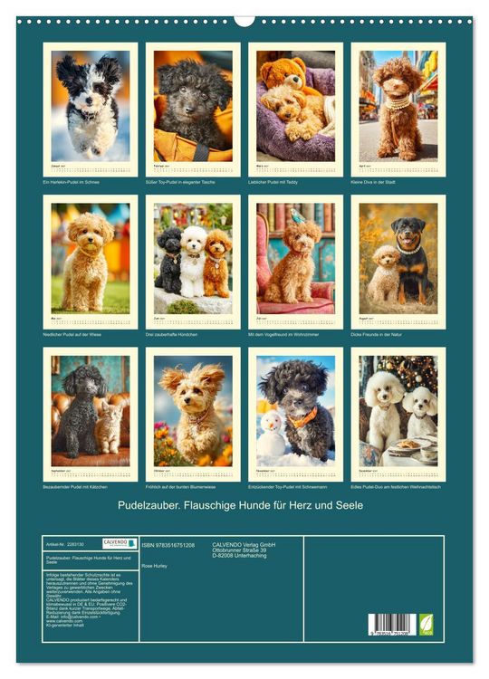 Produktbild: Pudelzauber. Flauschige Hunde f&uuml;r Herz und Seele (Wandkalender 2027 DIN A2 hoch), CALVENDO Monatskalender