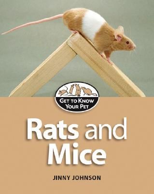 Produktbild: Rats and Mice