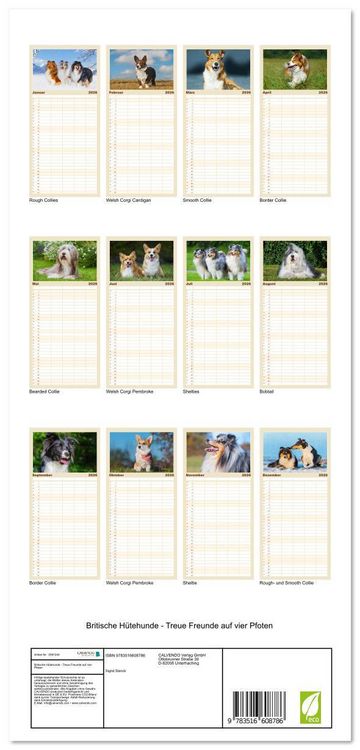 Produktbild: Familienplaner 2026 - Britische H&uuml;tehunde - Treue Freunde auf vier Pfoten mit 5 Spalten (Wandkalender, 21 x 45 cm) CALVENDO