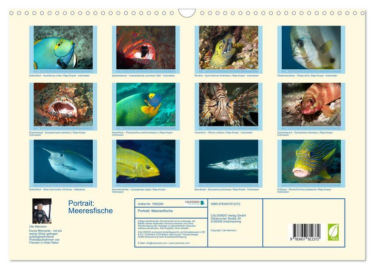 Produktbild: Portrait: Meeresfische (Wandkalender 2026 DIN A3 quer), CALVENDO Monatskalender