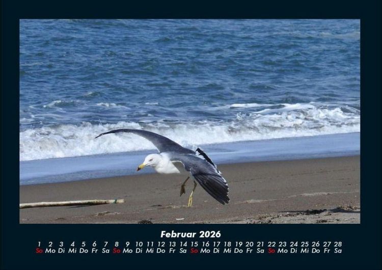 Produktbild: Meereslandschaft 2026 Fotokalender DIN A4