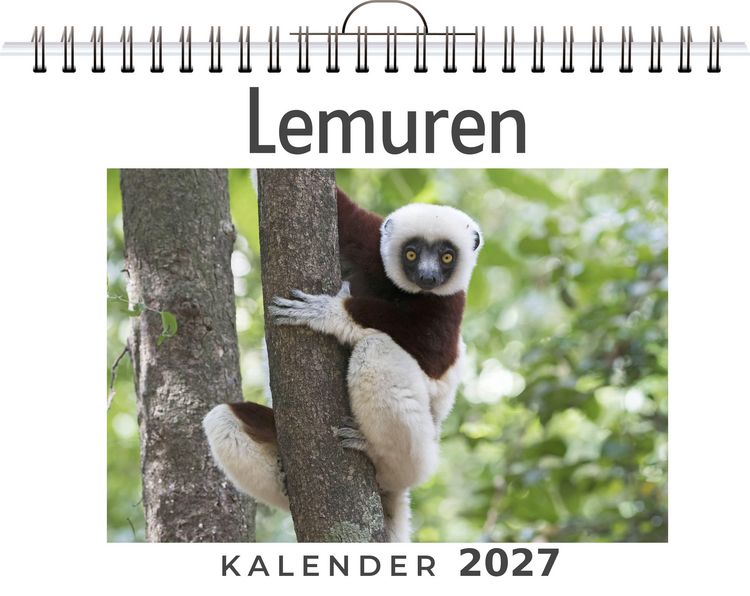 Produktbild: Lemuren