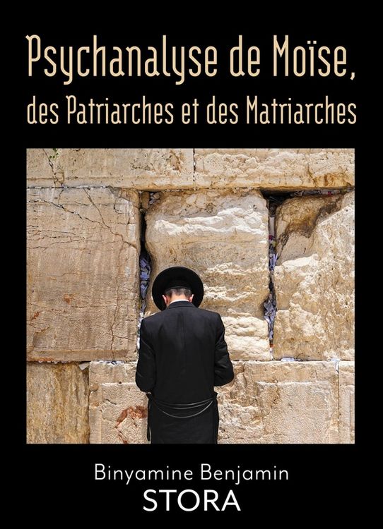 Produktbild: Psychanalyse de Mo&iuml;se, des Patriarches et des Matriarches