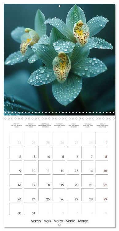 Produktbild: colorful orchid family planner (Wall Calendar 2026 12 &times; 12 Inch) CALVENDO 12 Month Wall Calendar