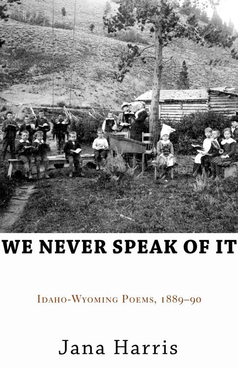 Produktbild: We Never Speak of It