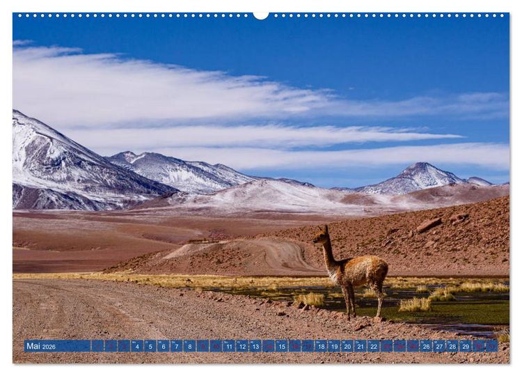 Produktbild: Atacama: Karge W&uuml;ste, m&auml;chtige Vulkane und farbenpr&auml;chtige Lagunen (hochwertiger Premium Wandkalender 2026 DIN A2 quer), Kunstdruck in Hochglanz