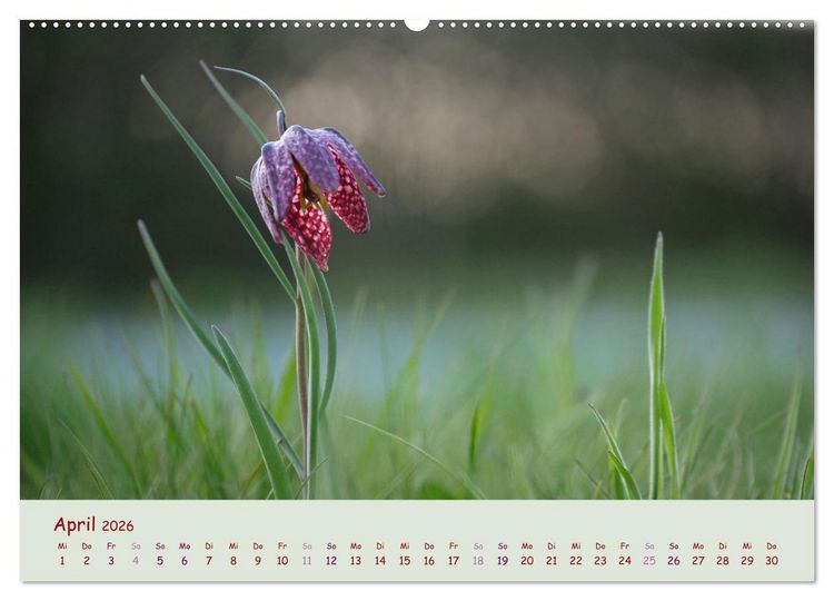 Produktbild: Naturwunder Bl&uuml;ten (hochwertiger Premium Wandkalender 2026 DIN A2 quer), Kunstdruck in Hochglanz
