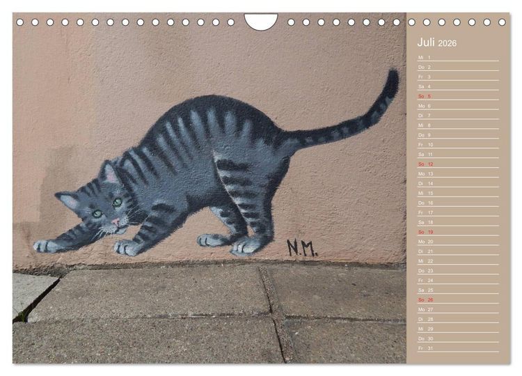Produktbild: Flensburger Katzen (Wandkalender 2026 DIN A4 quer), CALVENDO Monatskalender