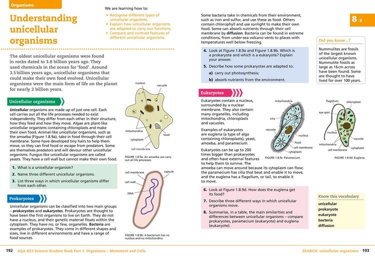 Produktbild: AQA KS3 Science Student Book Part 1