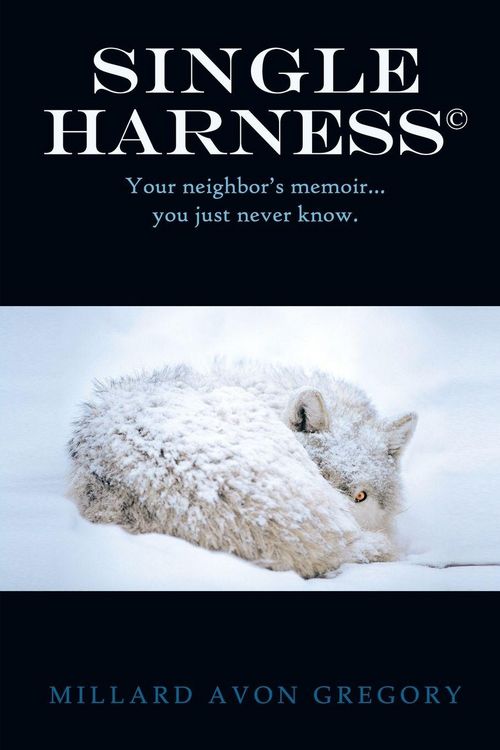 Produktbild: Title Single Harness(c)